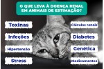 Gotas Pupex Kidney Support | Para Cães & Gatos