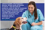 Gotas Pupex Kidney Support | Para Cães & Gatos